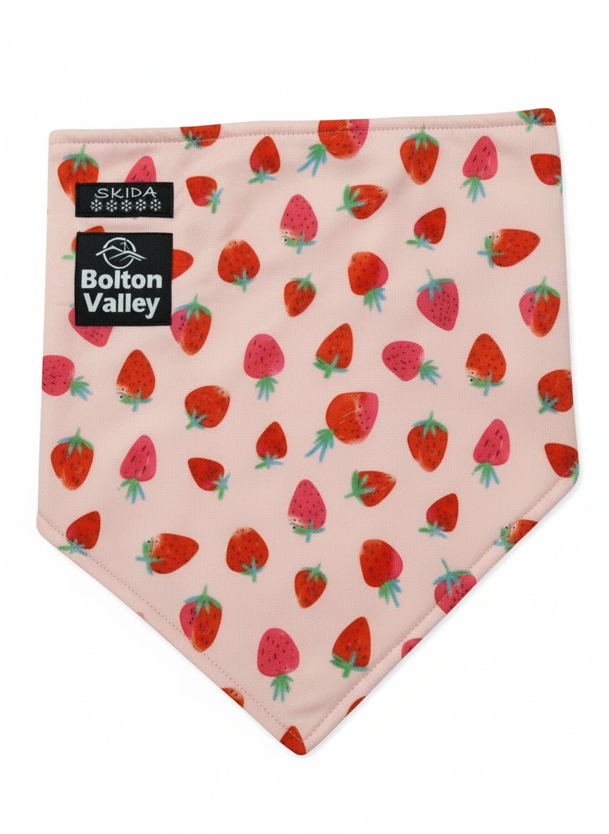 Bolton Valley x Skida Bandana