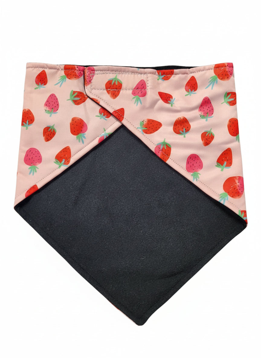 Bolton Valley x Skida Bandana