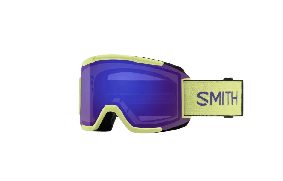 Smith Squad Goggle